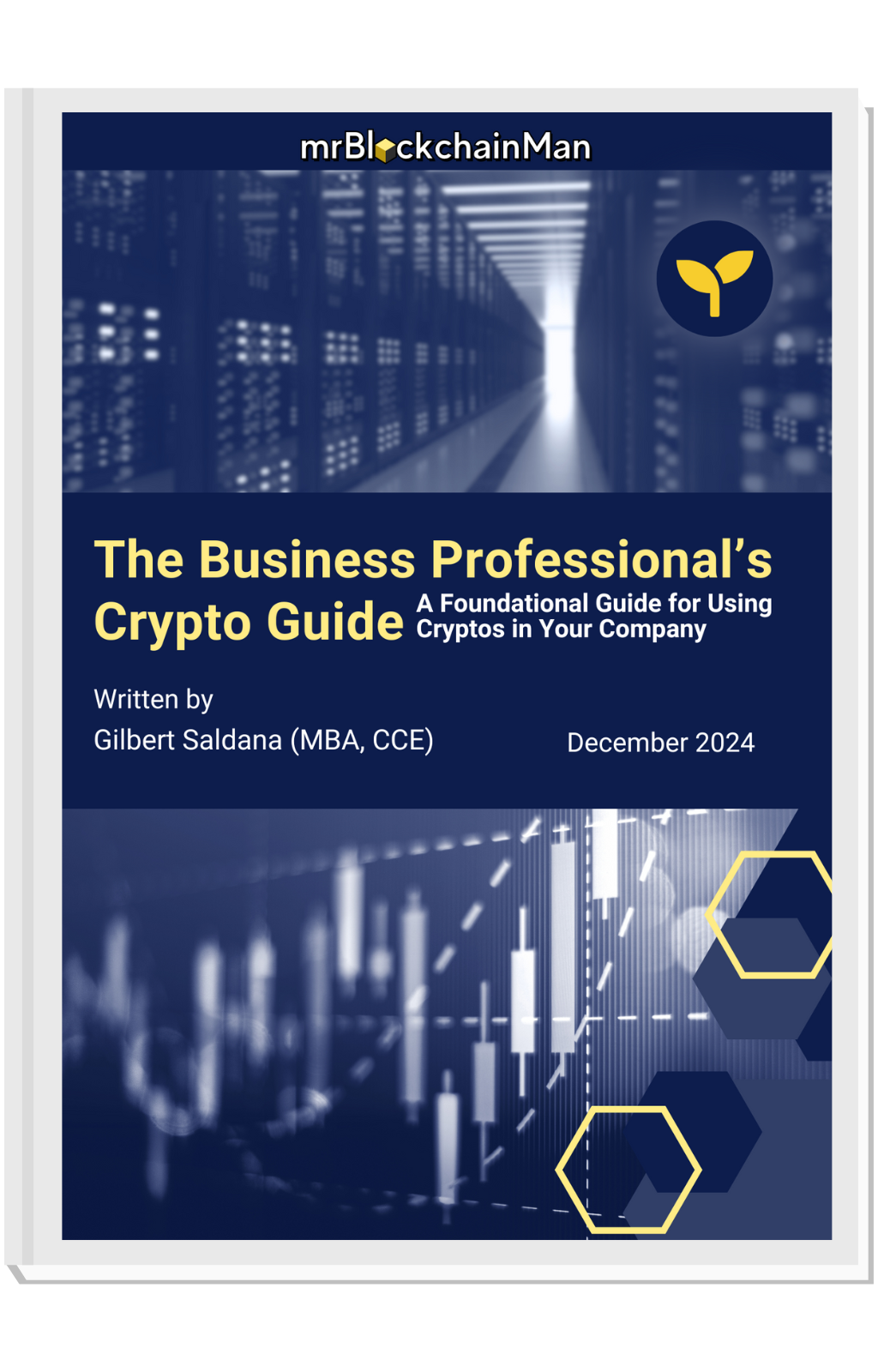 The Business Professional's Crypto Guide